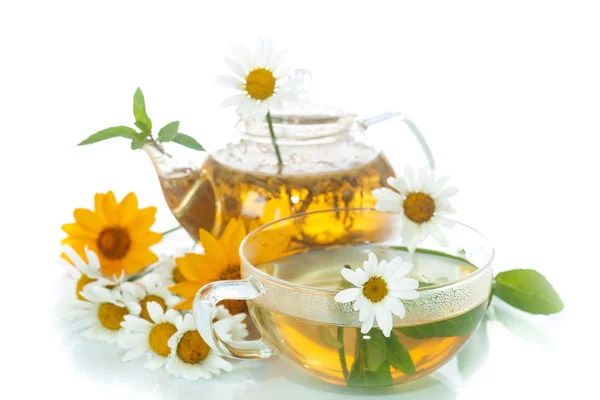 Chamomile tea — Stock Photo, Image