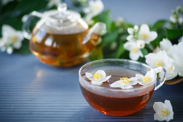 Jasmine tea — Stock Photo, Image