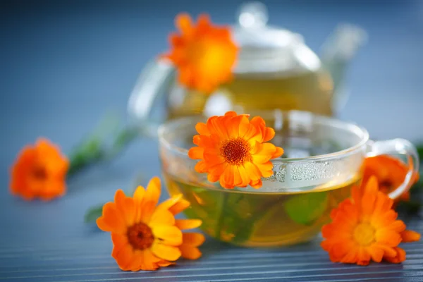 Calendula thee — Stockfoto