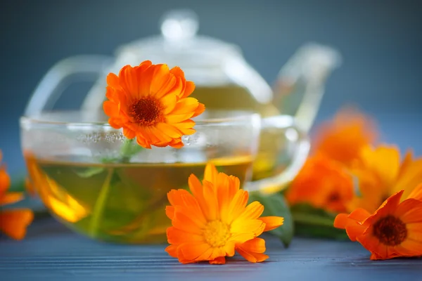 Calendula thee — Stockfoto