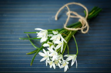 Beyaz çiçek buketi