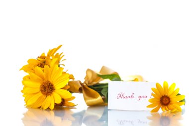 Sarı papatya çiçek grup