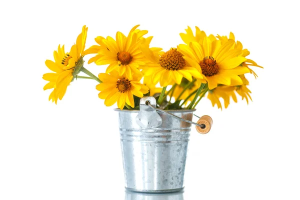 Bunch of yellow daisy flowers — Stock Photo, Image