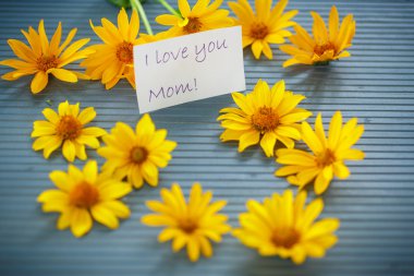 Sarı papatya çiçek grup