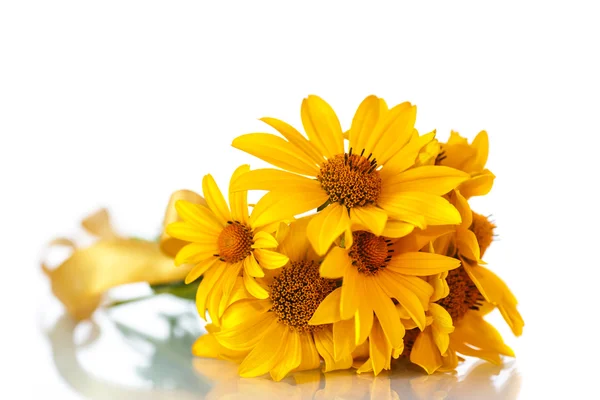 Bunch of yellow daisy flowers — Stock Photo, Image