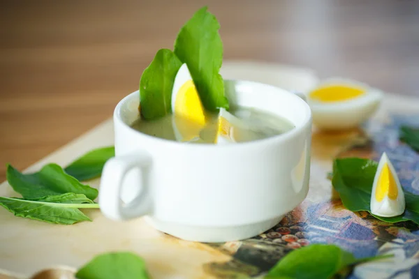 Sorrel soup — Stock Photo, Image