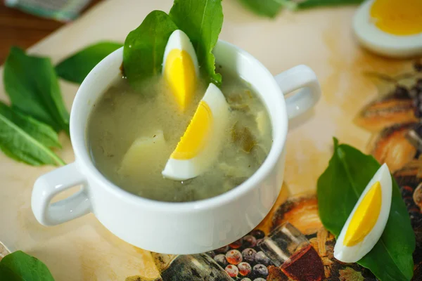 Zupa szczawiowa — Zdjęcie stockowe