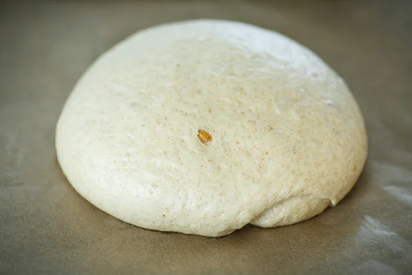 Surowego ciasta przed pieczeniem chleba — Zdjęcie stockowe