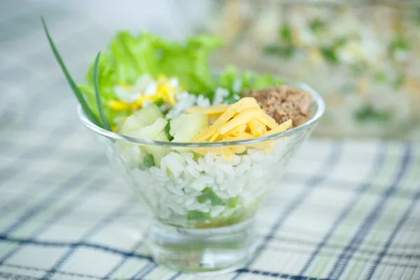 Insalata con riso e tonno — Foto Stock