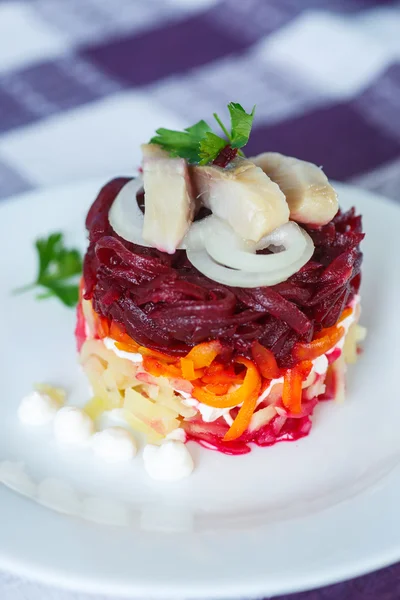 Salade traditionnelle russe de hareng — Photo