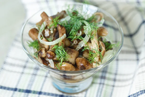 腌制的蘑菇 — 图库照片