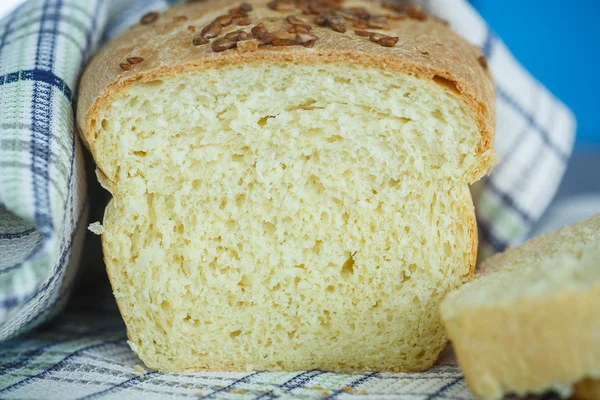 Свіжий домашній кукурудзяний хліб з насінням — стокове фото