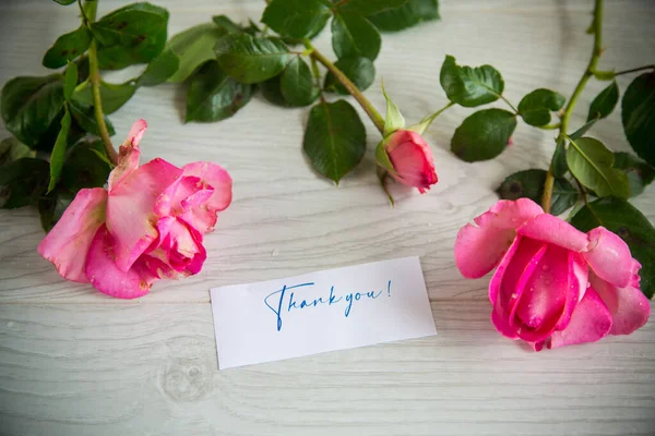 Ροζ Όμορφα Καλοκαιρινά Τριαντάφυλλα Ανοιχτό Ξύλινο Τραπέζι — Φωτογραφία Αρχείου