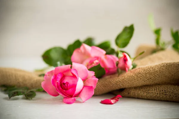 Rosa Hermosas Rosas Verano Sobre Una Mesa Madera Clara — Foto de Stock