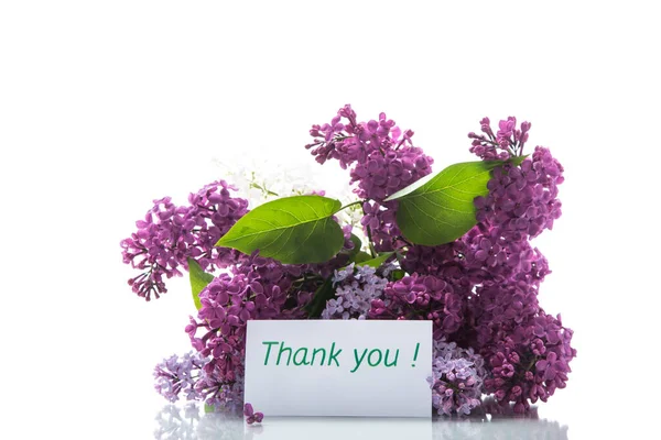 Bouquet Different Blooming Spring Lilacs Isolated White Background — Stock Photo, Image