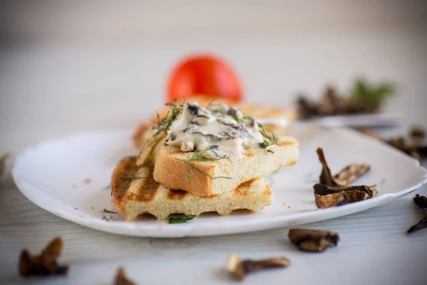Gebratenes Brot Toast Mit Käseaufstrich Mit Gekochten Getrockneten Pilzen Einem — Stockfoto