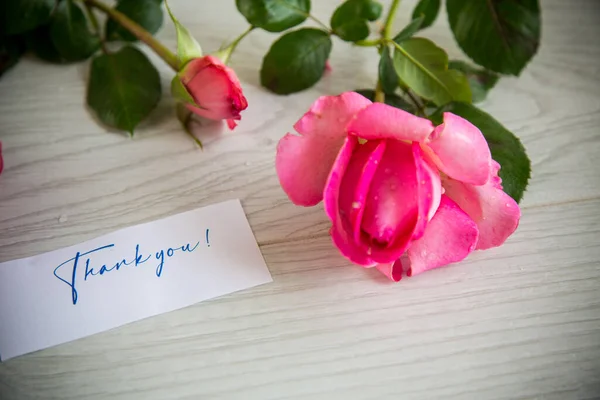 Rosa Schöne Sommerrosen Auf Einem Hellen Holztisch — Stockfoto