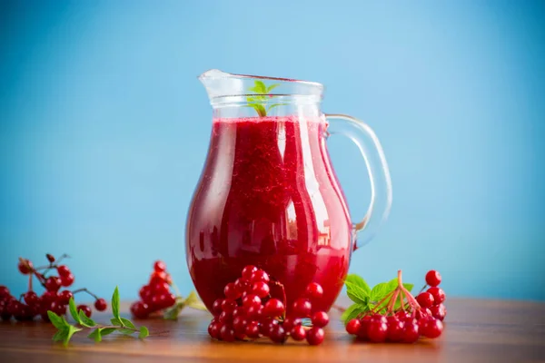 Freshly Squeezed Thick Natural Juice Pulp Ripe Red Viburnum Decanter — Stock Photo, Image