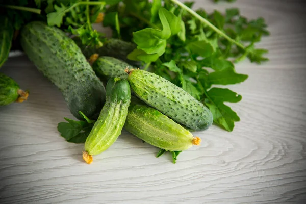 Färska Ekologiska Gurkor Med Örter Ett Träbord — Stockfoto