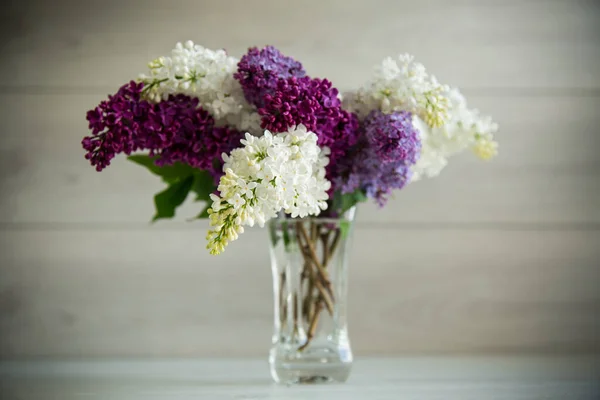 Bouquet Beautiful Spring Lilacs Different Colors Wooden Table — Stock Photo, Image