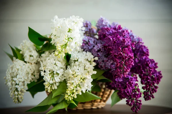 Bouquet Beautiful Spring Lilacs Different Colors Wooden Table — 图库照片