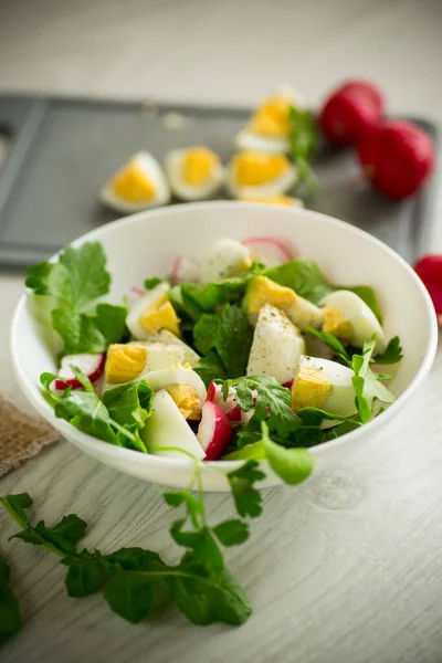 Fresh Spring Salad Fresh Lettuce Leaves Radishes Boiled Eggs Bowl — Zdjęcie stockowe