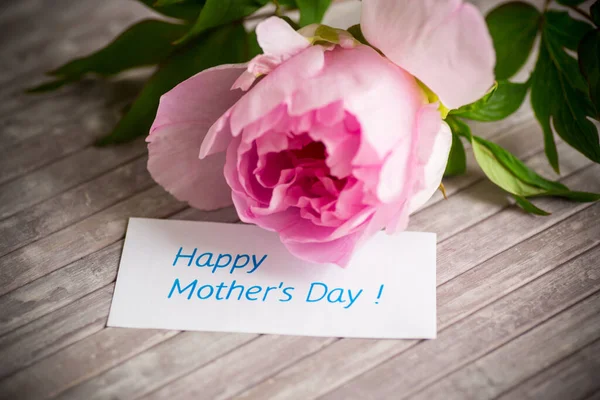 Большой Розовый Пион Деревянном Столе Поздравлениями Днем Матери — стоковое фото