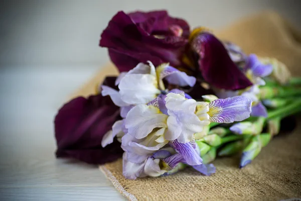 Μπουκέτο Από Όμορφα Άνθη Ίριδας Ανθισμένα Ανοιχτό Ξύλινο Φόντο — Φωτογραφία Αρχείου