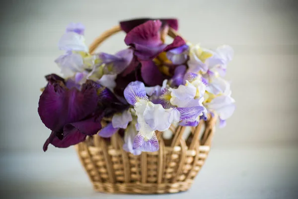 Strauß Schöner Blühender Irisblumen Auf Hellem Holzhintergrund — Stockfoto
