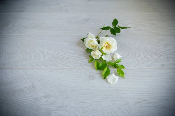 Pequeno Buquê Belas Rosas Brancas Verão Uma Mesa Madeira — Fotografia de Stock
