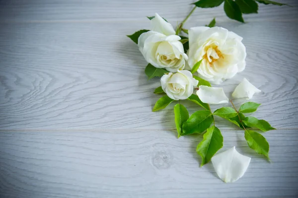 Μικρό Μπουκέτο Όμορφα Λευκά Καλοκαιρινά Τριαντάφυλλα Ξύλινο Τραπέζι — Φωτογραφία Αρχείου