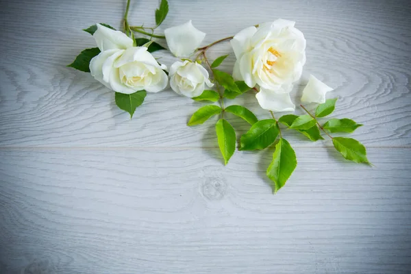 Kis Csokor Gyönyörű Fehér Rózsa Egy Asztalon — Stock Fotó