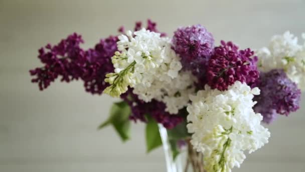 Bouquet Beautiful Spring Lilacs Different Colors Wooden Table — Vídeo de stock