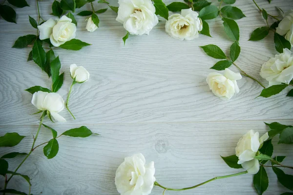 Belo Fundo Muitas Rosas Brancas Uma Luz Madeira — Fotografia de Stock