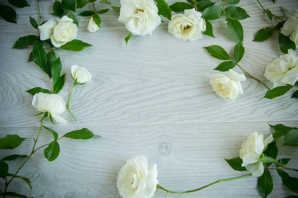 Mooie Achtergrond Van Veel Witte Rozen Een Licht Houten — Stockfoto