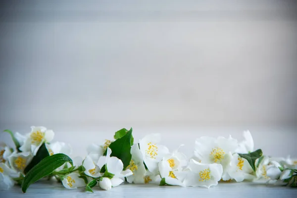 美しい白いジャスミンと空のスペースを開花木製の背景 — ストック写真