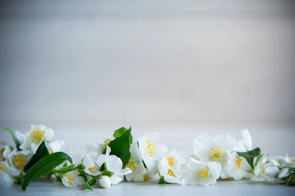 Fundo Madeira Com Florescendo Belo Jasmim Branco Espaço Vazio — Fotografia de Stock