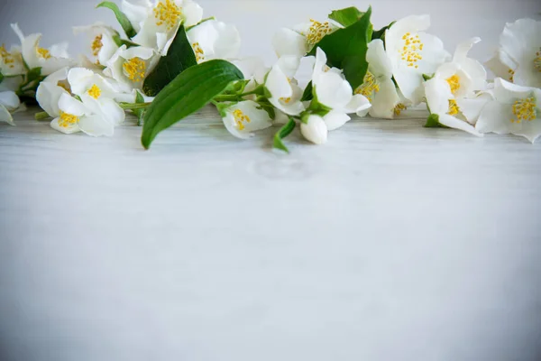 Fondo Madera Con Florecimiento Hermoso Jazmín Blanco Espacio Vacío — Foto de Stock