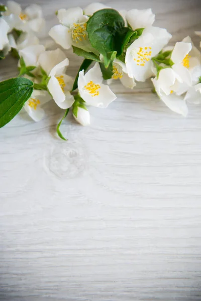 Houten Achtergrond Met Bloeiende Mooie Witte Jasmijn Lege Ruimte — Stockfoto