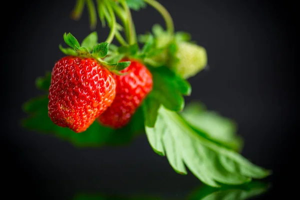 Ripe Juicy Red Strawberry Isolated Black Background — Stock Photo, Image