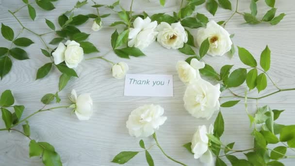 Piękne Tło Wielu Białych Róż Jasnym Drewnianym — Wideo stockowe