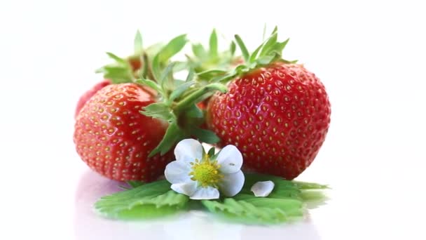 新鲜成熟的有机红草莓 在白色背景下分离 — 图库视频影像