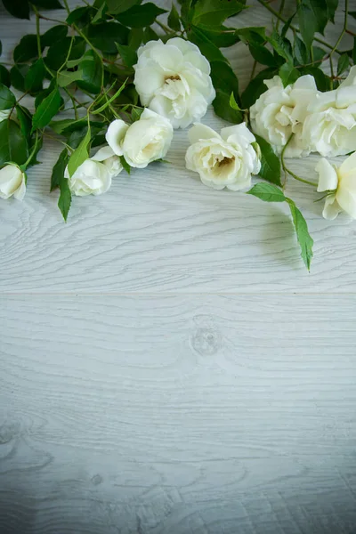 Belo Fundo Muitas Rosas Brancas Uma Luz Madeira — Fotografia de Stock