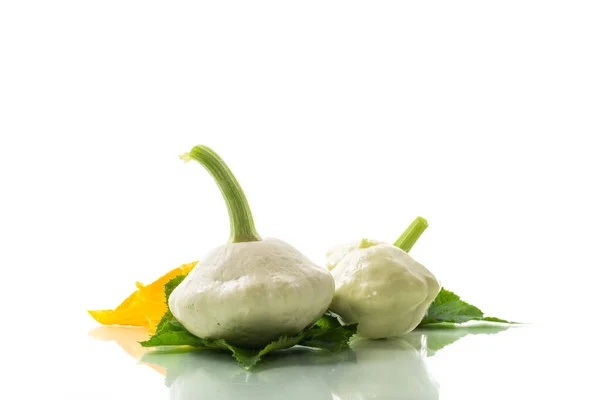 Fresh Organic Squash Flowers Foliage Isolated White Background — Fotografia de Stock