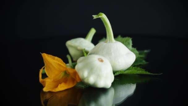 Fresh Organic Squash Flowers Foliage Isolated Black Background — 图库视频影像