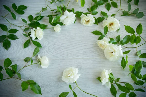 Mooie Achtergrond Van Veel Witte Rozen Een Licht Houten — Stockfoto