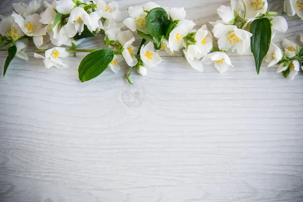 木质背景 开着美丽的白色茉莉花和空旷的空间 — 图库照片