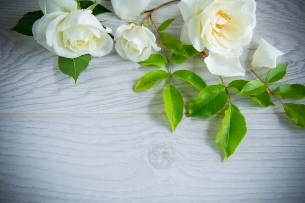 Pequeno Buquê Belas Rosas Brancas Verão Uma Mesa Madeira — Fotografia de Stock