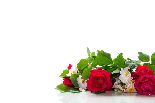 big bouquet of beautiful red and pink roses isolated on white background