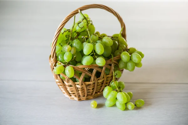 Groene Herfst Rijpe Druiven Een Mand Een Lichte Houten Tafel — Stockfoto